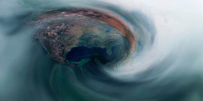 a close-up of a turtle