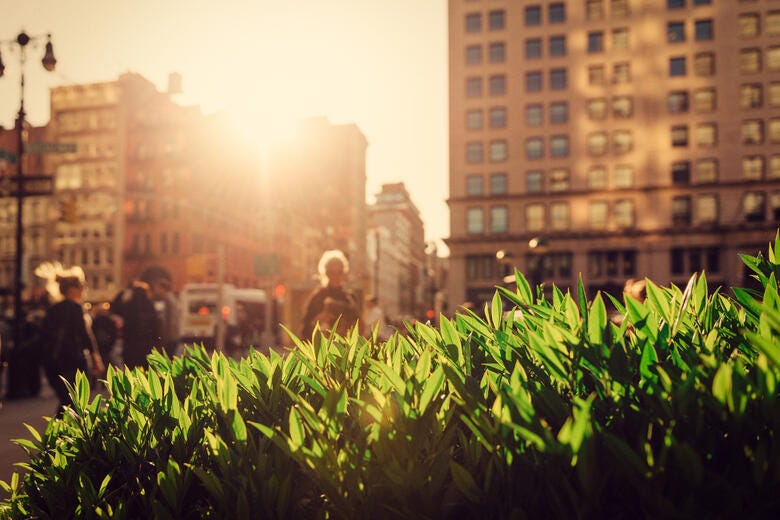 a group of people walking in a city