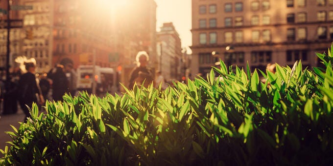 a group of people walking in a city