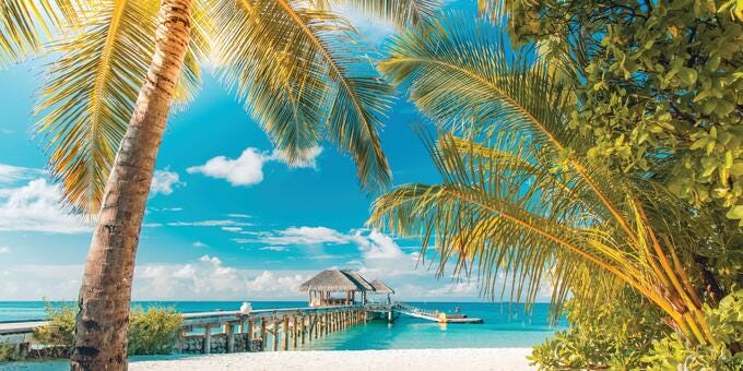 a beach with palm trees and a pier