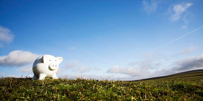 a white piggy bank in a field of grass